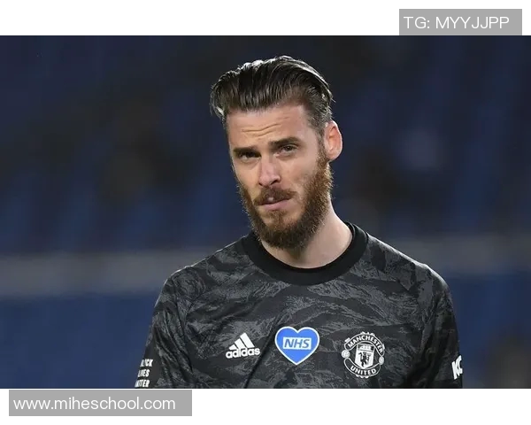 足球明星长相相似的人物对比与趣味分析探索